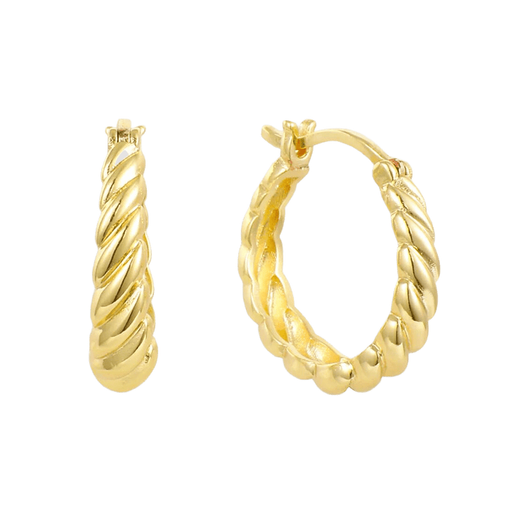 Twist Style Hoop Earrings